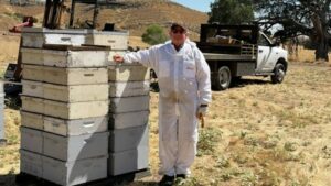 O Poder da Apicultura: Como um Agricultor de 70 Anos Mantém Viva a Fazenda de Mel de Sua Família